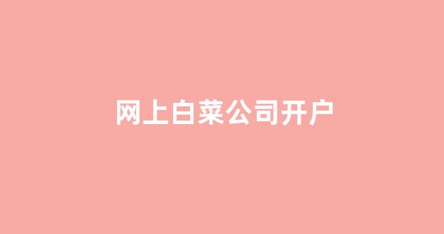 白菜公司网上开户